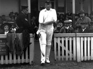 All Rounder